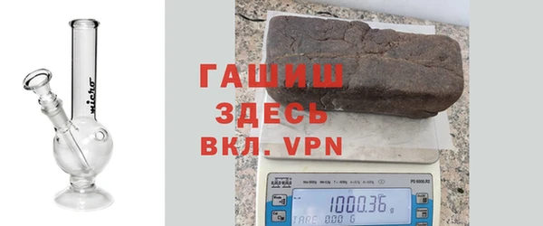 сатива Абинск