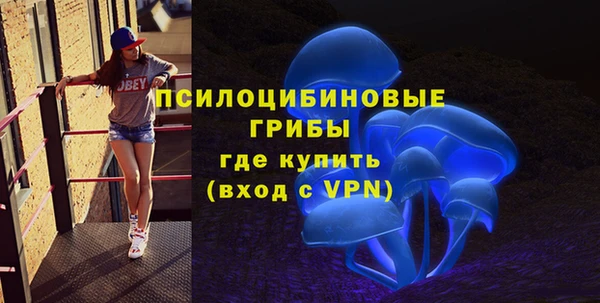 твердый Алзамай