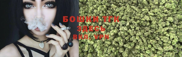 винт Лабытнанги
